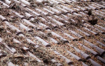 Greysteel roof cleaning companies