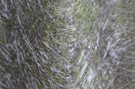 Greysteel fibreglass roof work